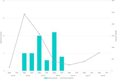 A retrospective study of SARS-CoV-2 seroprevalence in dogs and cats in the Community of Madrid, Spain